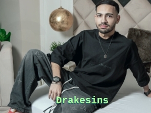 Drakesins