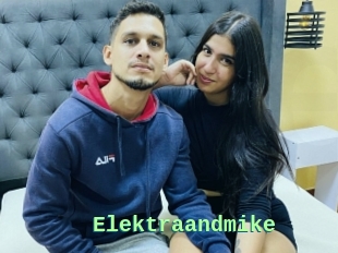 Elektraandmike