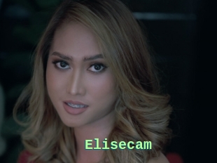 Elisecam