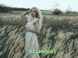 Elizamool