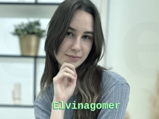 Elvinagomer