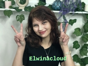 Elwinacloud