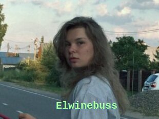 Elwinebuss