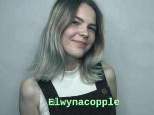 Elwynacopple