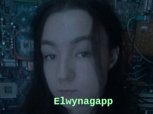 Elwynagapp