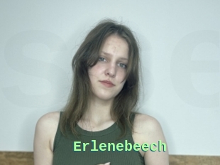 Erlenebeech