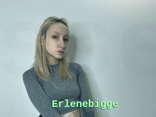 Erlenebigge