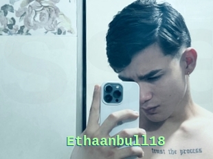 Ethaanbull18