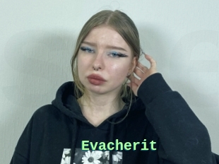 Evacherit