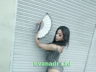 Evamadriid