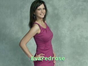 Evaredrose