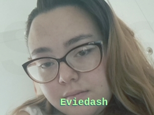 Eviedash