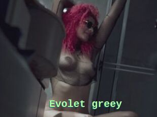 Evolet_greey