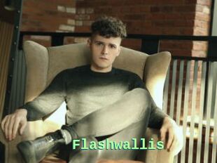 Flashwallis