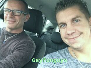 Gayfunguys