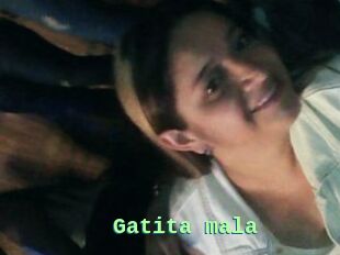 Gatita_mala