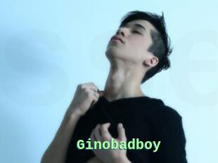 Ginobadboy