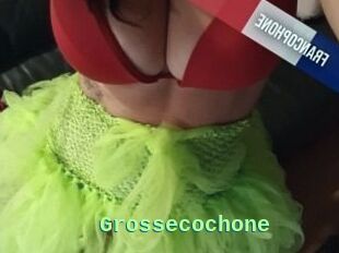 Grossecochone