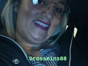 Grosseins88