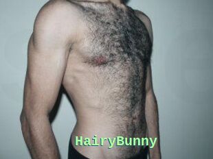 HairyBunny