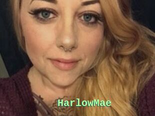 HarlowMae