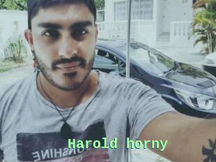 Harold_horny