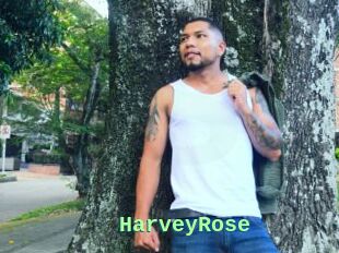 HarveyRose