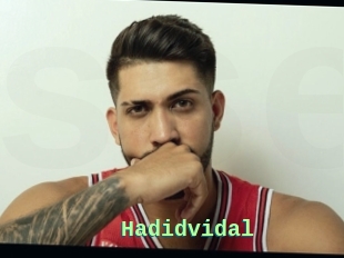 Hadidvidal