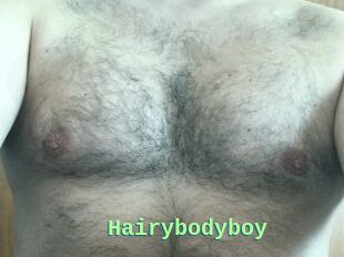 Hairybodyboy