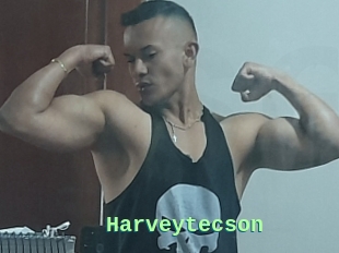 Harveytecson