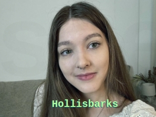 Hollisbarks