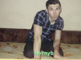 Hornyb