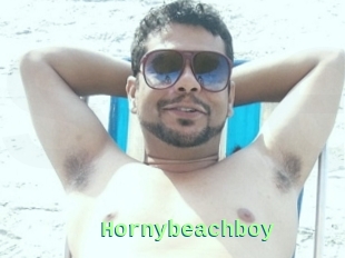 Hornybeachboy