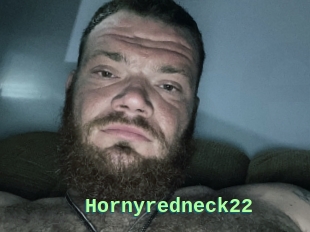 Hornyredneck22