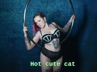 Hot_cute_cat