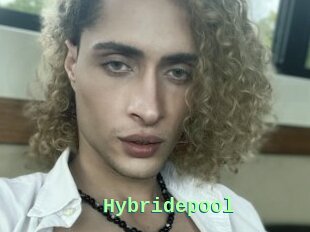 Hybridepool