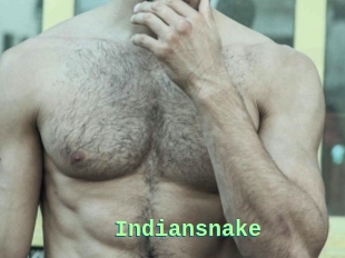 Indiansnake