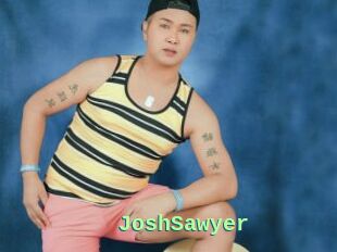 JoshSawyer