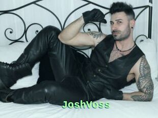 JoshVoss