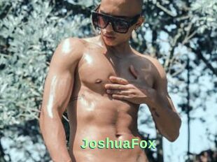 JoshuaFox