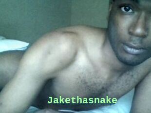 Jake_tha_snake