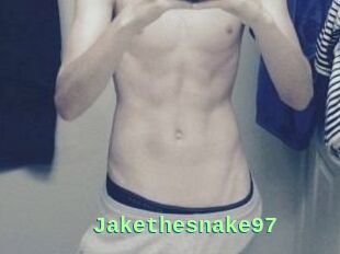 Jakethesnake97