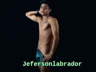 Jefersonlabrador