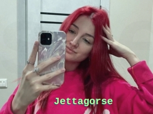 Jettagorse