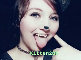 Kitten285