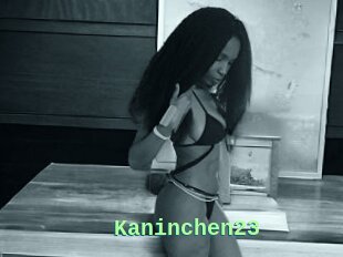 Kaninchen23