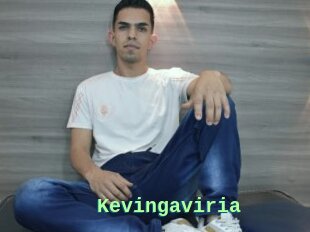 Kevingaviria