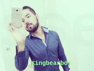 Kingbearboy