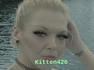 Kitten420