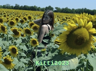 Kitti2023